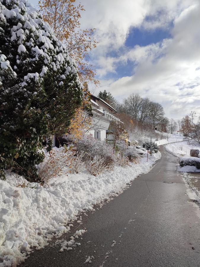 Feldbergsicht Apartment Lenzkirch Exterior photo